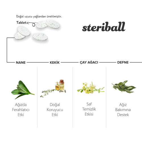 Steriball Pilli veya Şarjlı Diş Fırçaları İçin Hijyenik Diş Fırçası Kabı - Şeffaf - 4
