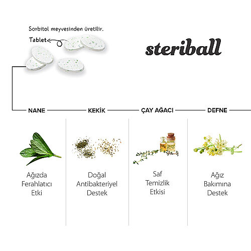 Steriball Pilli veya Şarjlı Diş Fırçaları İçin Hijyenik Diş Fırçası Kabı - Şeffaf ve Pembe - Steriball (1)