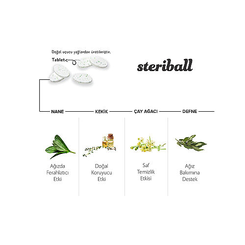 Steriball Pilli veya Şarjlı Diş Fırçaları İçin Hijyenik Diş Fırçası Kabı - Siyah ve Turuncu - 2