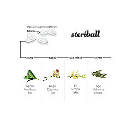 Steriball Pilli veya Şarjlı Diş Fırçaları İçin Hijyenik Diş Fırçası Kabı - Yeşil - 2