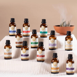 Therapium Naturalis Buğday Özü Yağı 50 ml - 3