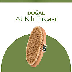 Tresan At Kılı Fırça - 2