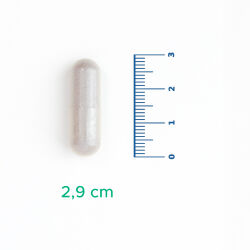 Velavit V-Firstect with Colostrum Takviye Edici Gıda 30 Kapsül - 3