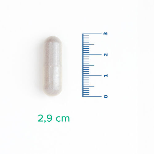 Velavit V-Firstect with Colostrum Takviye Edici Gıda 30 Kapsül - 3