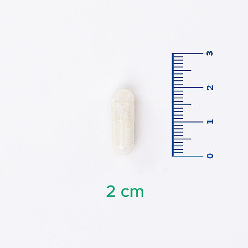 Velavit V-GlutenEase Takviye Edici Gıda 60 Kapsül - 4