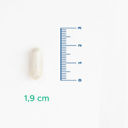 Velavit V-Nattokinase Takviye Edici Gıda 30 Kapsül - 3