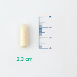 Velavit V-Probiotics Enzymes Takviye Edici Gıda 30 Kapsül - 3