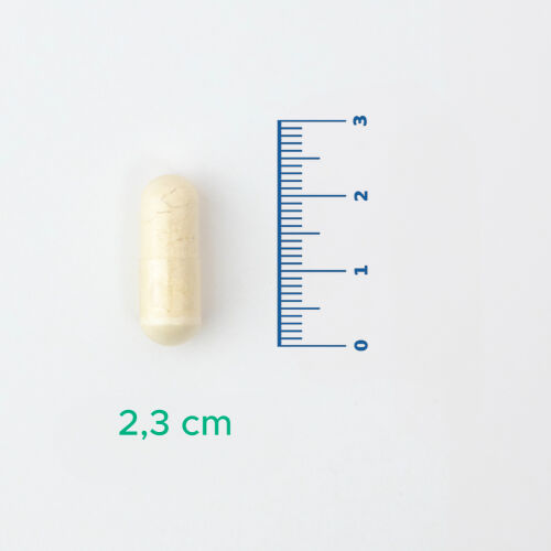 Velavit V-Probiotics Enzymes Takviye Edici Gıda 30 Kapsül - 3