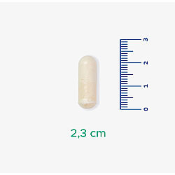 Velavit V-PsCog Takviye Edici Gıda 30 Kapsül - 3