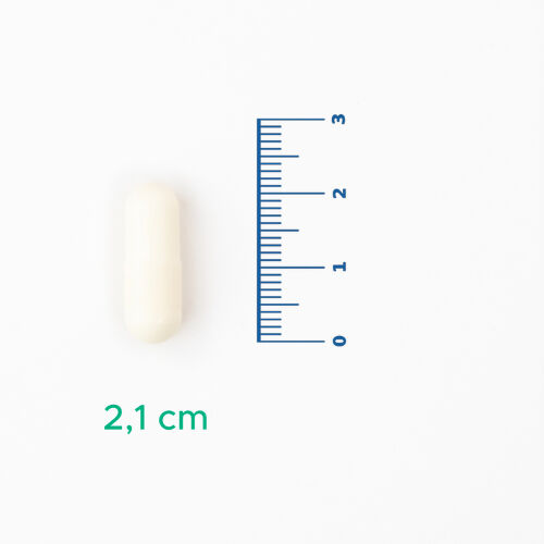 Velavit V-Resveratrol Takviye Edici Gıda 120 Kapsül - 5