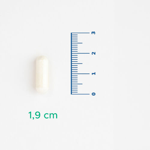 Velavit Viva Ceramide Seramid İçeren Takviye Edici Gıda 30 Kapsül - 4