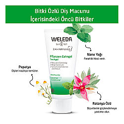 Weleda Bitki Özlü Organik Diş Macunu 75 ml - 4