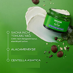 Weleda Skin Food Nemlendirici ve Besleyici Gece Bakım Kremi 40 ml - 3